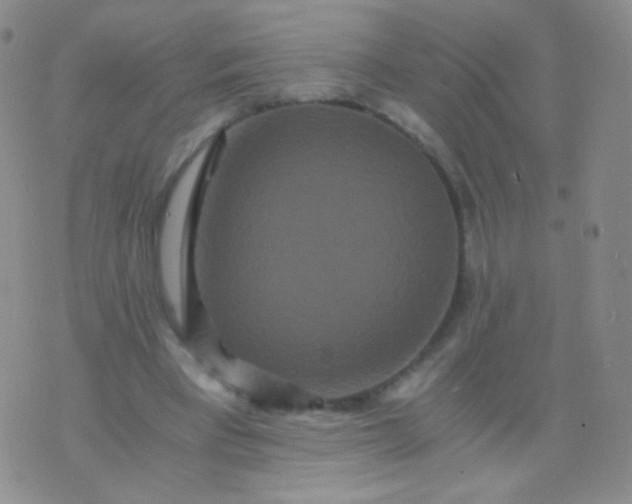 X0000076270393200610122300