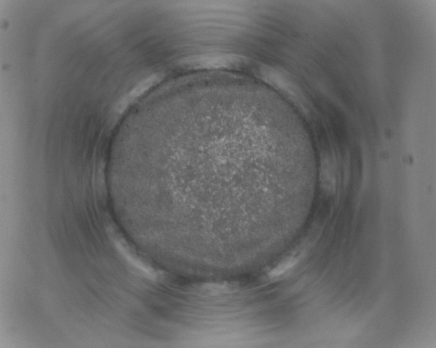 X0000076270394200610122300