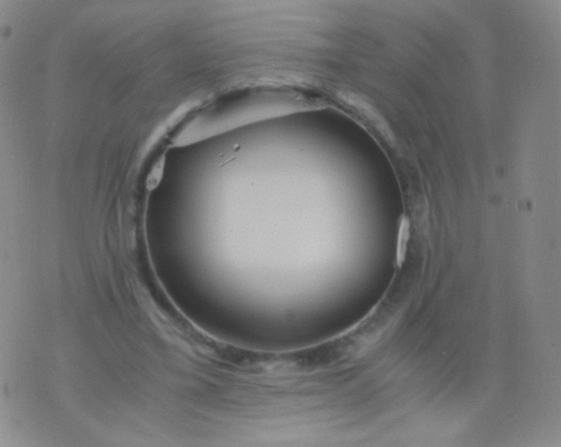 X0000076270395200610122300