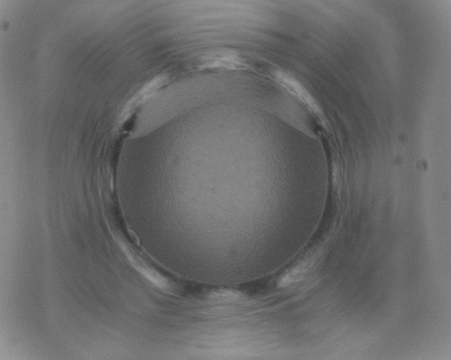 X0000076270397200610122300