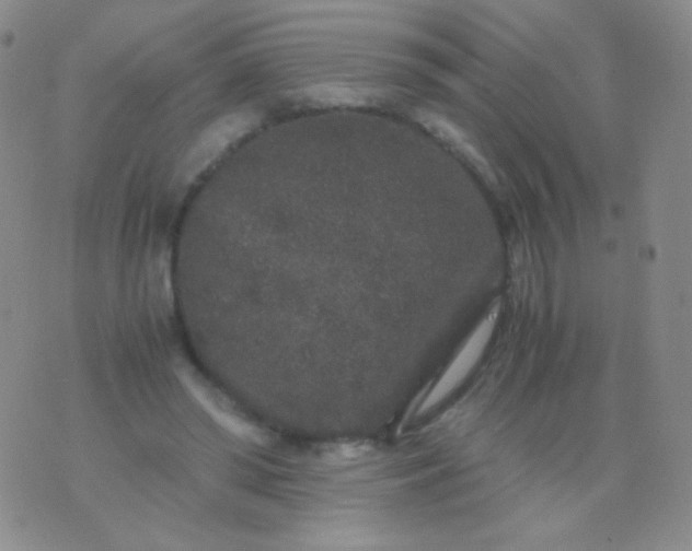 X0000076270398200610122300