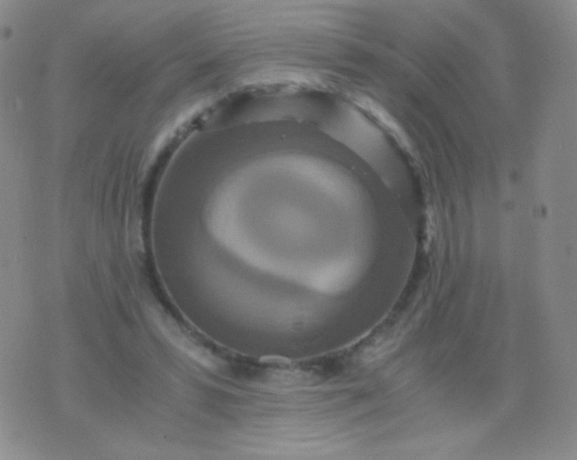 X0000076270399200610122300