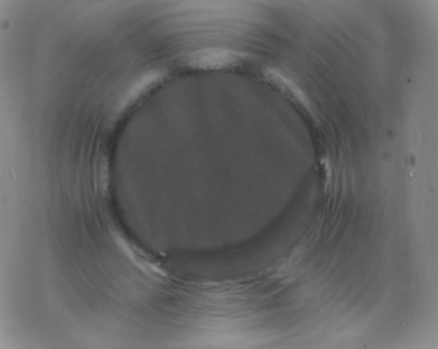 X0000076270400200610122300