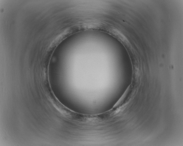 X0000076270401200610122300