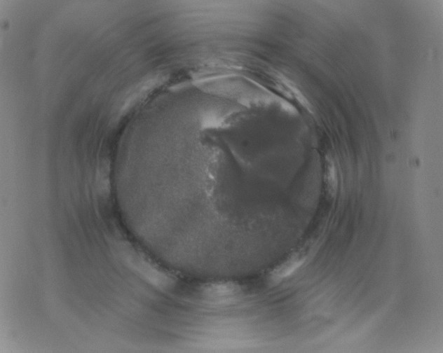 X0000076270402200610122300