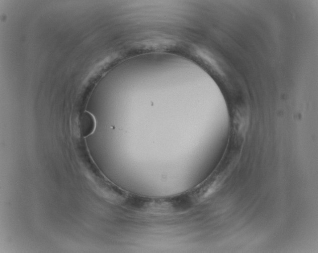 X0000076270403200610122300