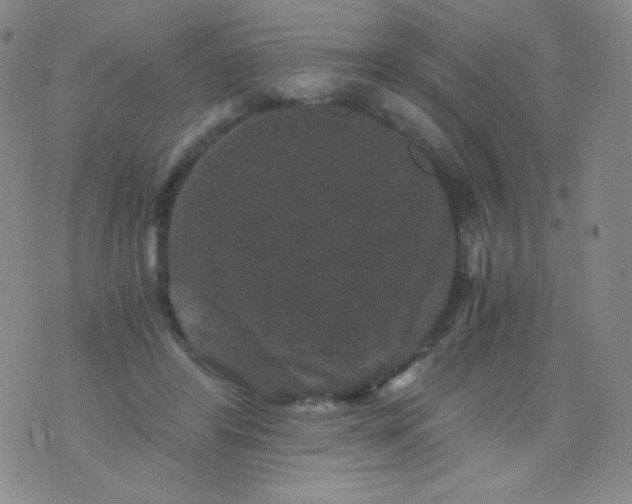 X0000076270404200610122300