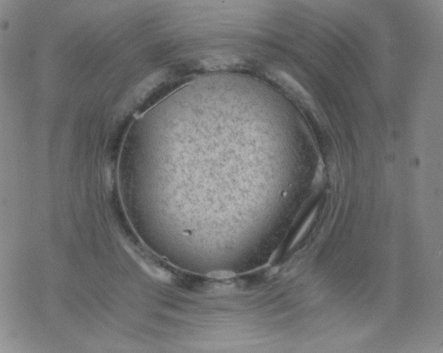 X0000076270405200610122300