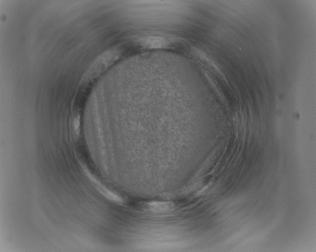 X0000076270406200610122300