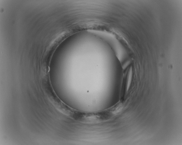 X0000076270407200610122300