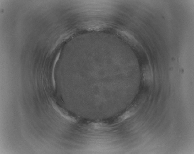 X0000076270408200610122300