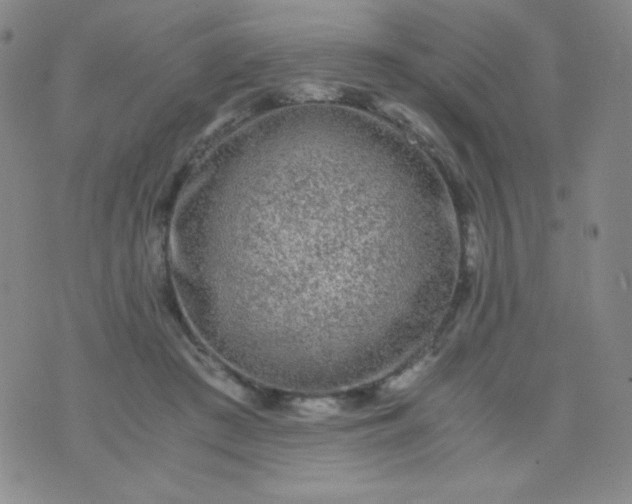 X0000076270409200610122300