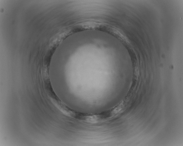 X0000076270411200610122300