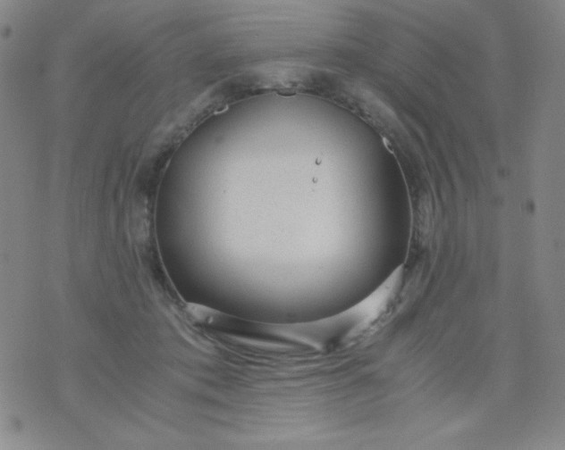 X0000076270413200610122300