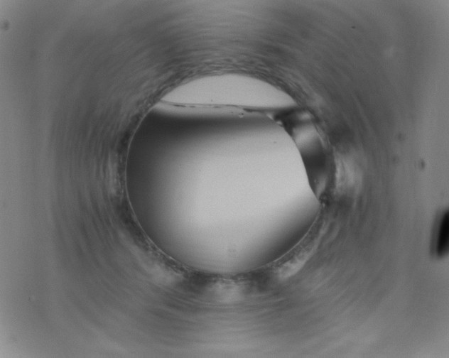 X0000076270416200610122300