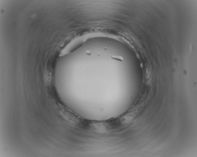 X0000076270417200610122300