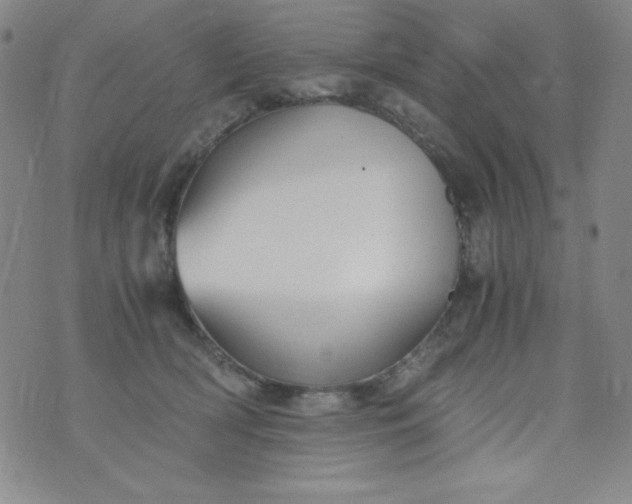 X0000076270418200610122300