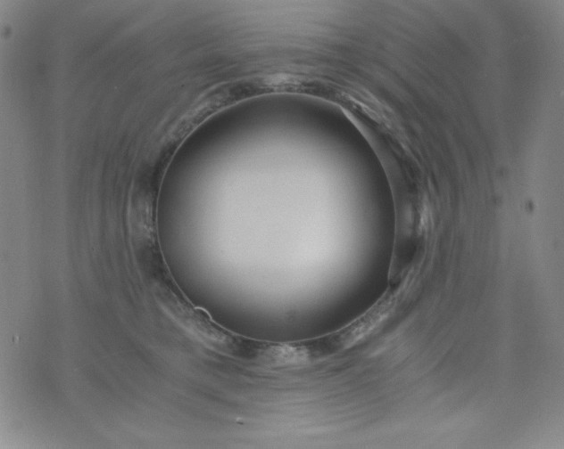 X0000076270421200610122300