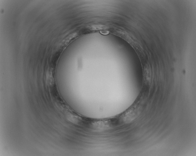 X0000076270422200610122300