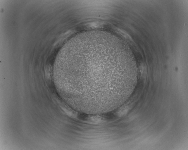 X0000076270423200610122300