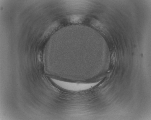 X0000076270424200610122300