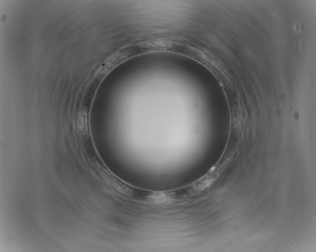 X0000076270425200610122300