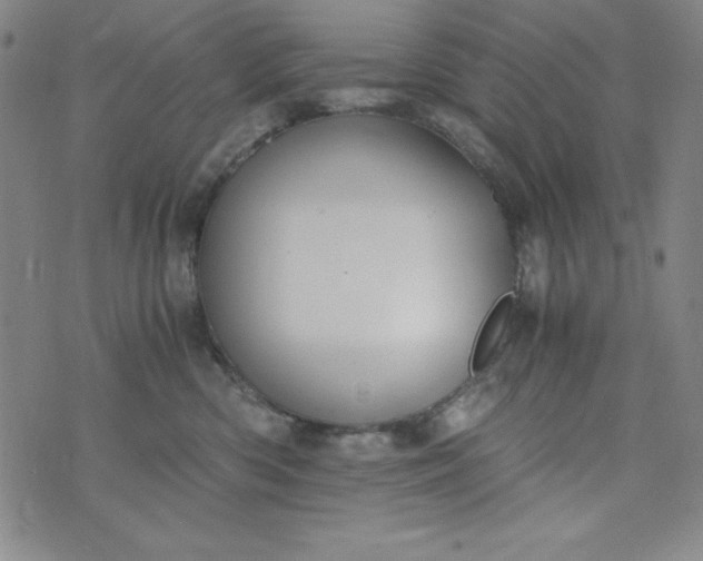 X0000076270426200610122300