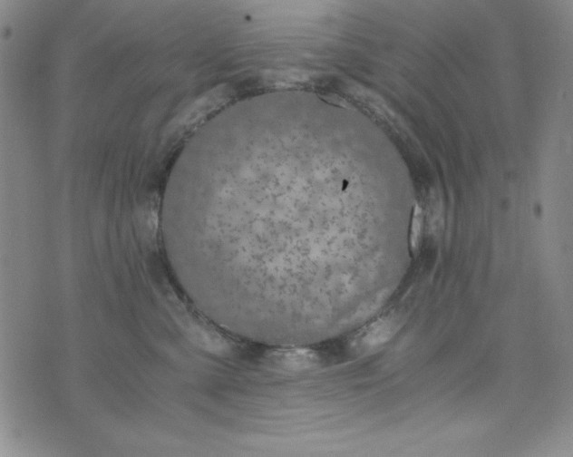 X0000076270427200610122300