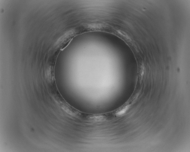 X0000076270428200610122300