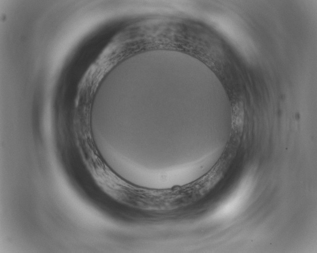 X0000076270431200610122300