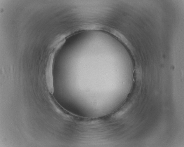 X0000076270433200610122259