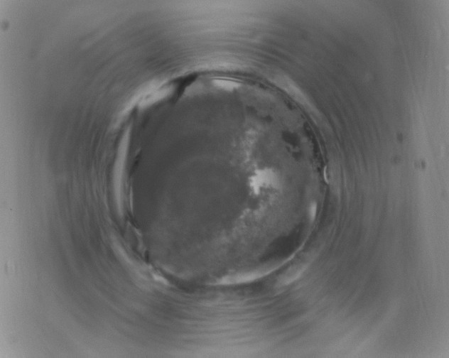 X0000076270434200610122259