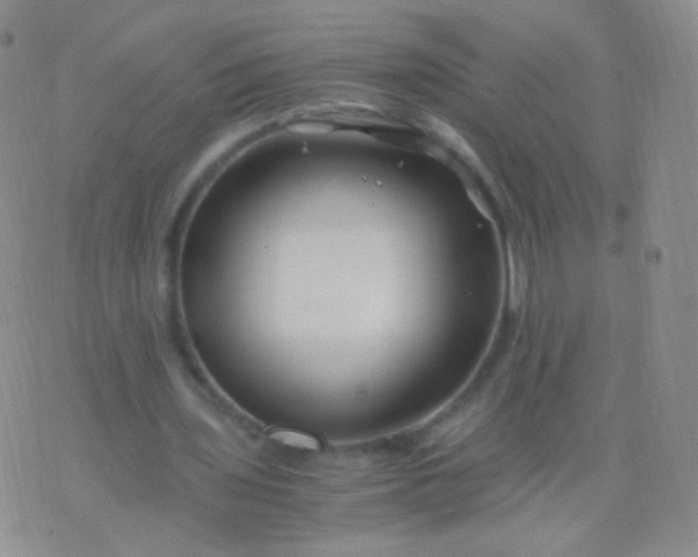 X0000076270435200610122259