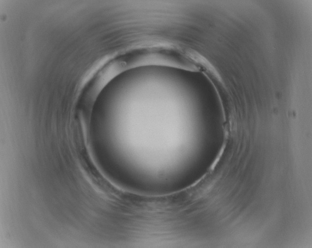 X0000076270436200610122259