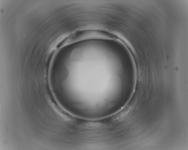 X0000076270437200610122259