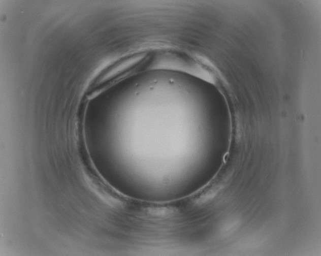 X0000076270439200610122259