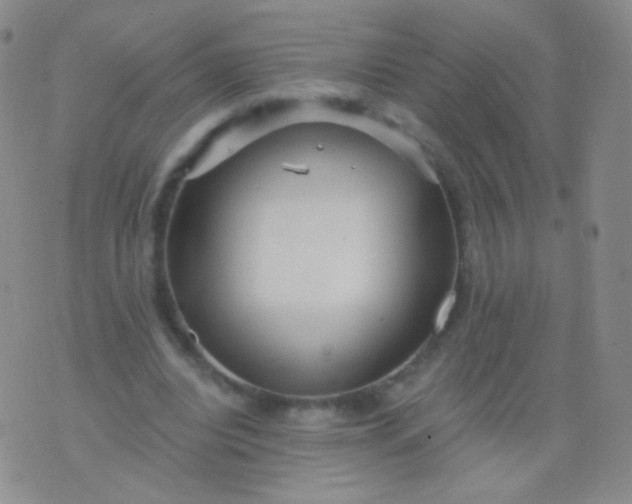 X0000076270440200610122259