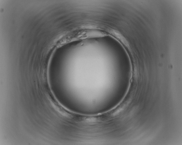 X0000076270441200610122259