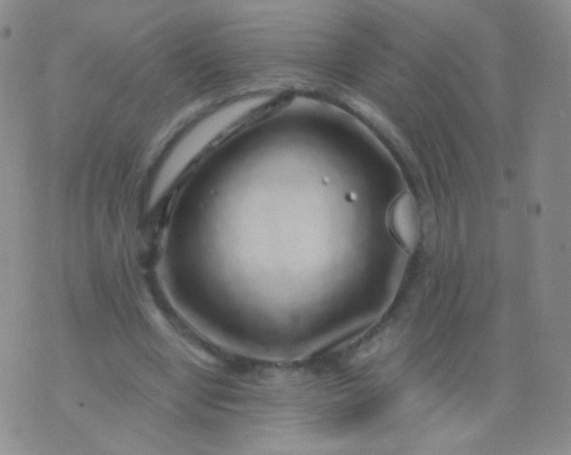 X0000076270442200610122259