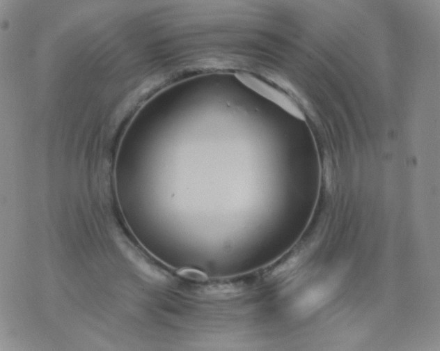 X0000076270445200610122259