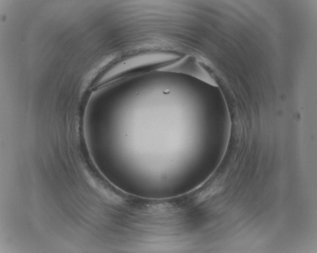 X0000076270446200610122259