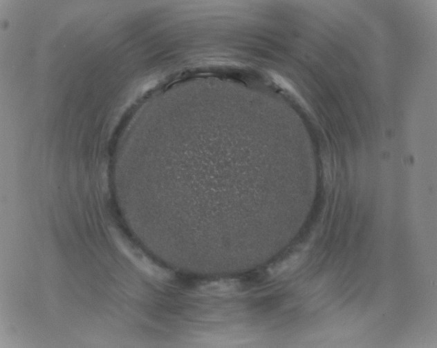 X0000076270447200610122259