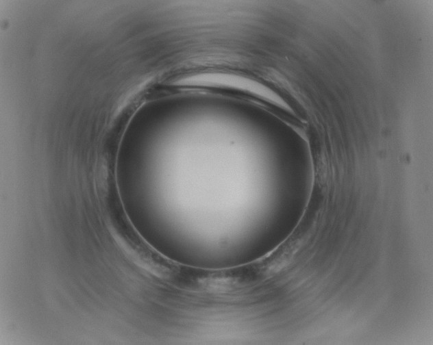 X0000076270448200610122259