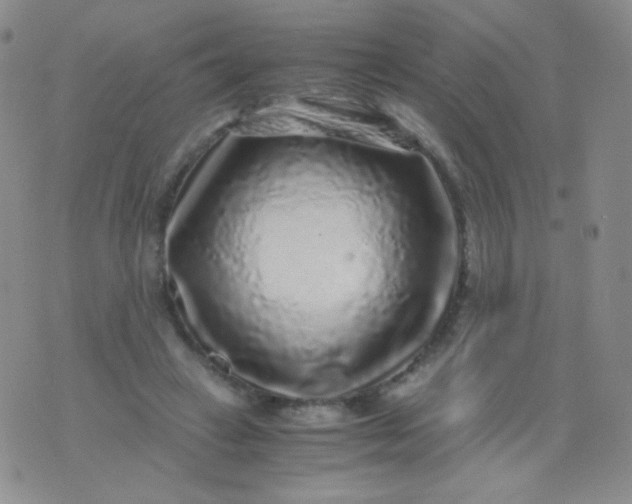 X0000076270449200610122259