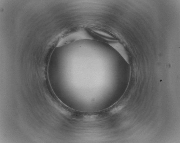 X0000076270450200610122259