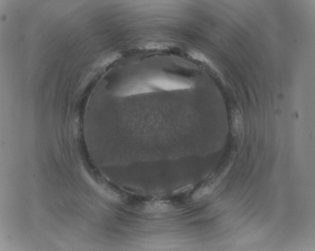 X0000076270451200610122259