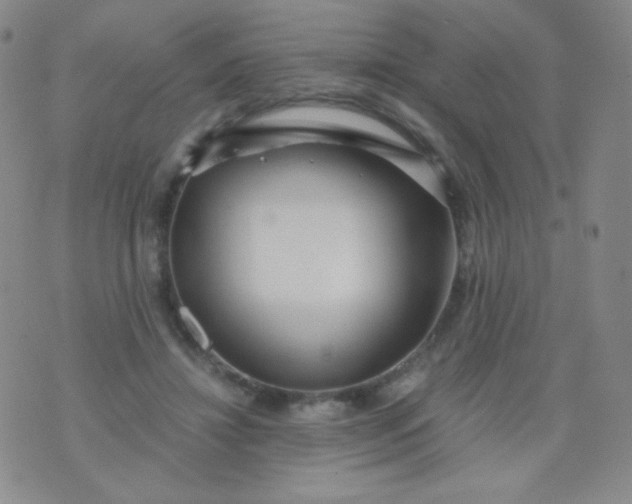 X0000076270452200610122259