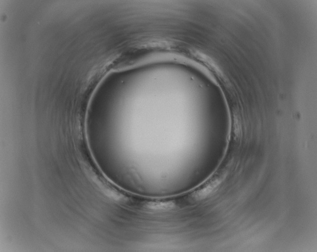 X0000076270453200610122259