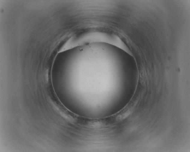 X0000076270454200610122259