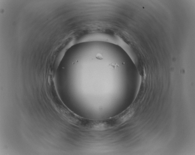 X0000076270456200610122259